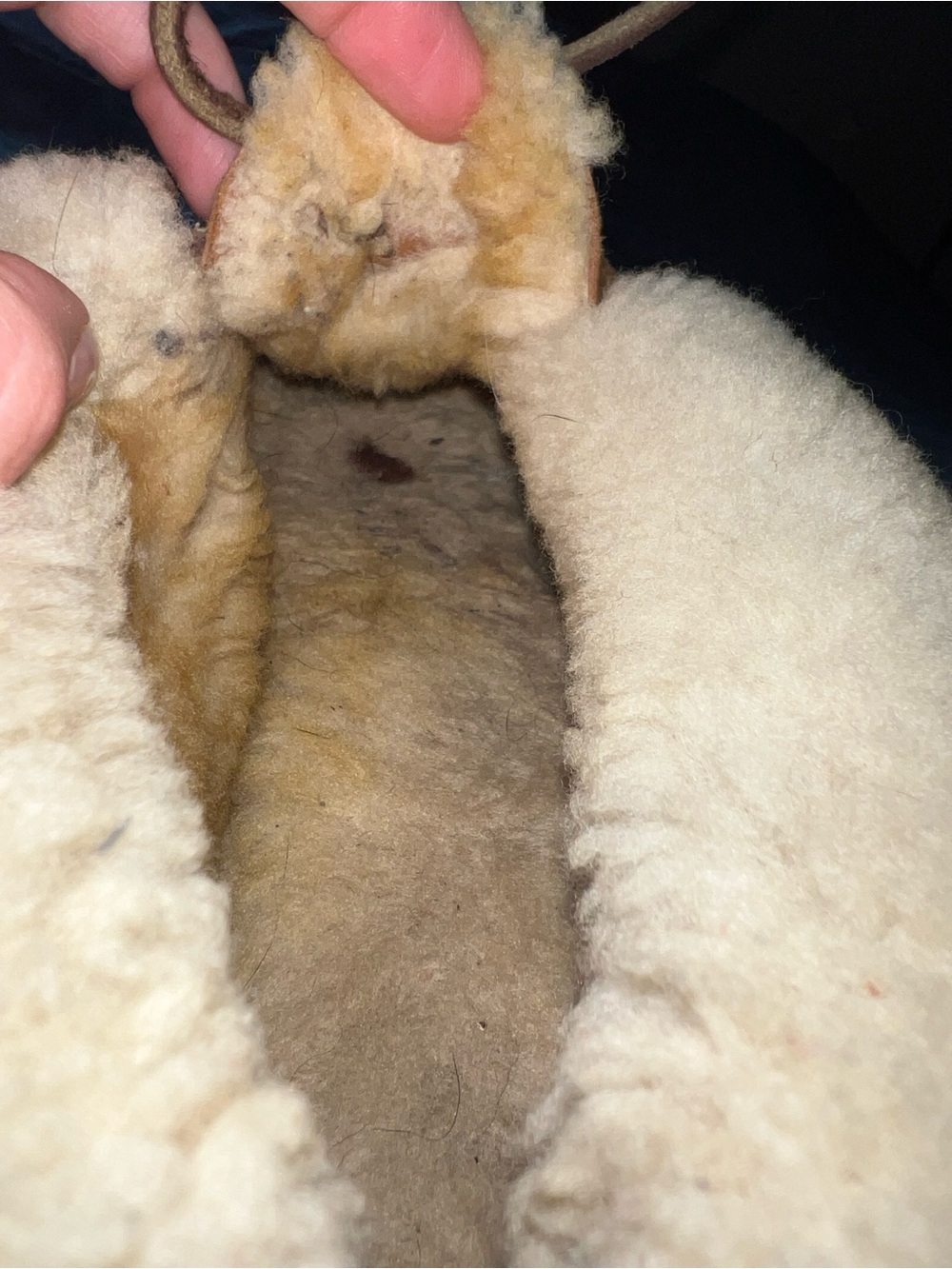 LLBean wicked good moccasin slippers - Picture 6 of 8